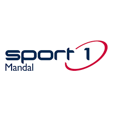 Sponsor logo #3